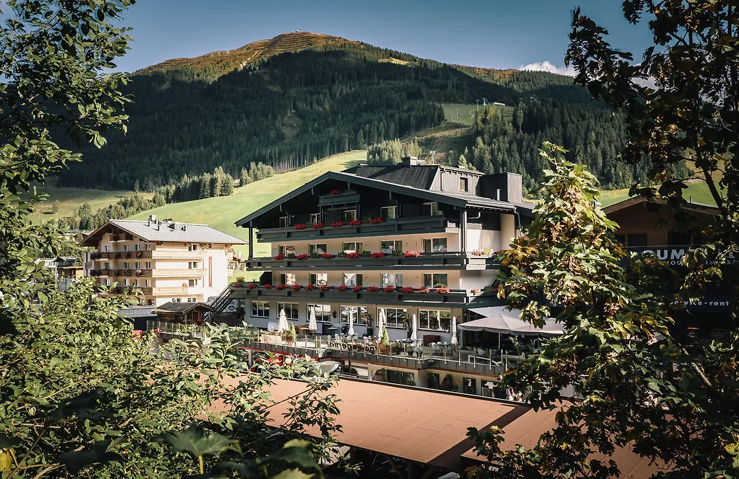 Der Gollinger-1